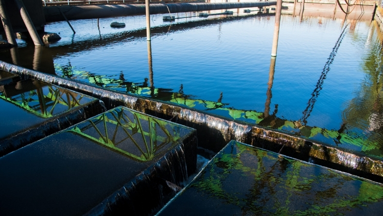Municipal water treatment plant with open filtration basins